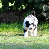 wolt24072