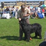 ajsha07radom