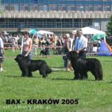 baxkrakow051