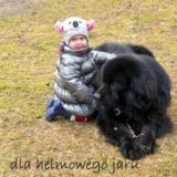 dzin0401