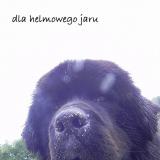 diego031214