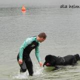 diego031220