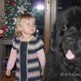 dzin12112.JPG