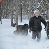dsc 0915 modified