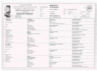 Hodowla Nowofundlandów - Helmowy Jar